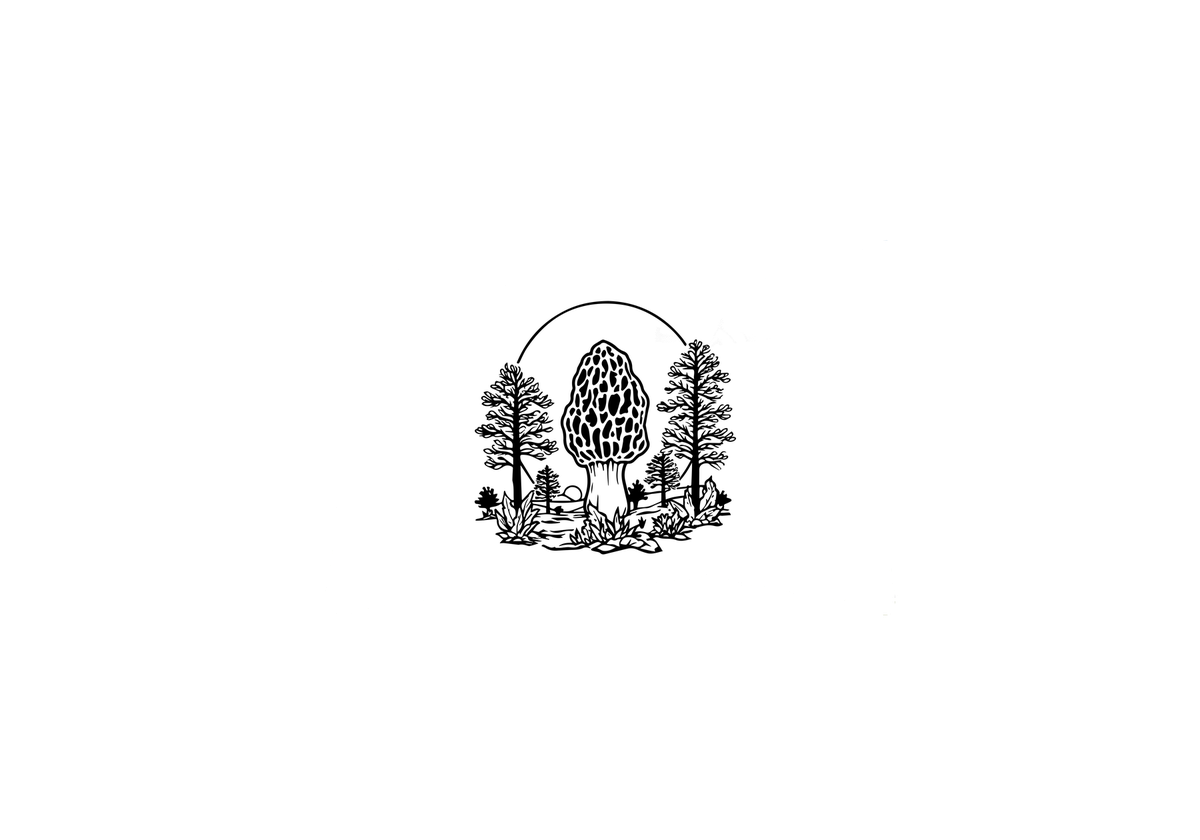Morel Mushroom Forest Throw Pillow | Hand-Drawn Ink Woodland Decorative Pillow | Foraging Home Gift