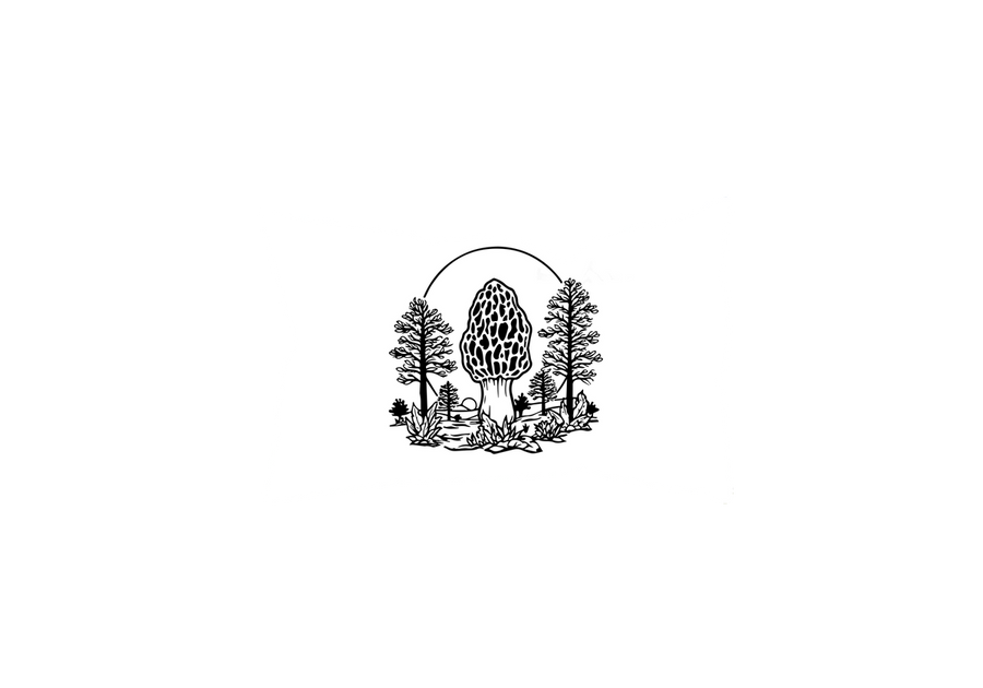 Morel Mushroom Forest Throw Pillow | Hand-Drawn Ink Woodland Decorative Pillow | Foraging Home Gift