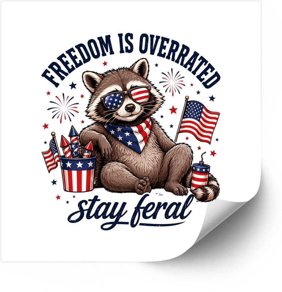 Stay Feral Stay Teaching Funny Patriotic Educator Vinyl Sticker Decal
